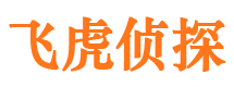 淮安出轨调查